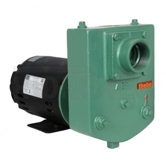 Bomba de Agua Autoescorvante Thebe AEX 1 3,0Cv Monofasico IP23 127/220/254 Voltagens