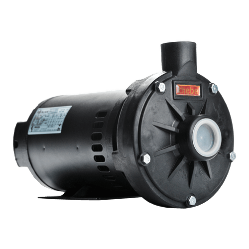 Bomba Centrifuga Thebe TH 16 P 1,5Cv Monofasico IP55 127/220/254 Voltagens
